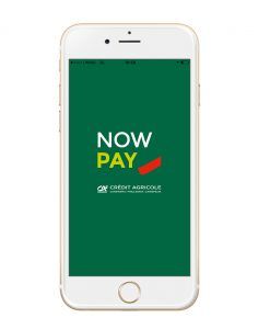 app now pay nowbanking
