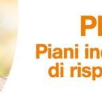 pir